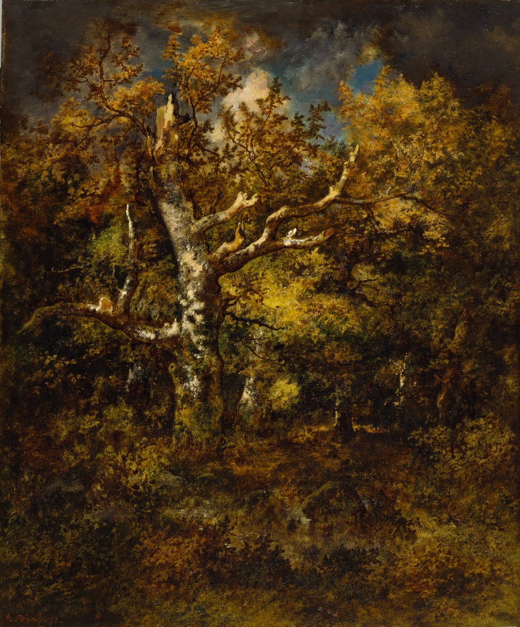 Forêt de Fontainebleau, automne, 1871 - Narcisse Virgile Diaz de la Peña