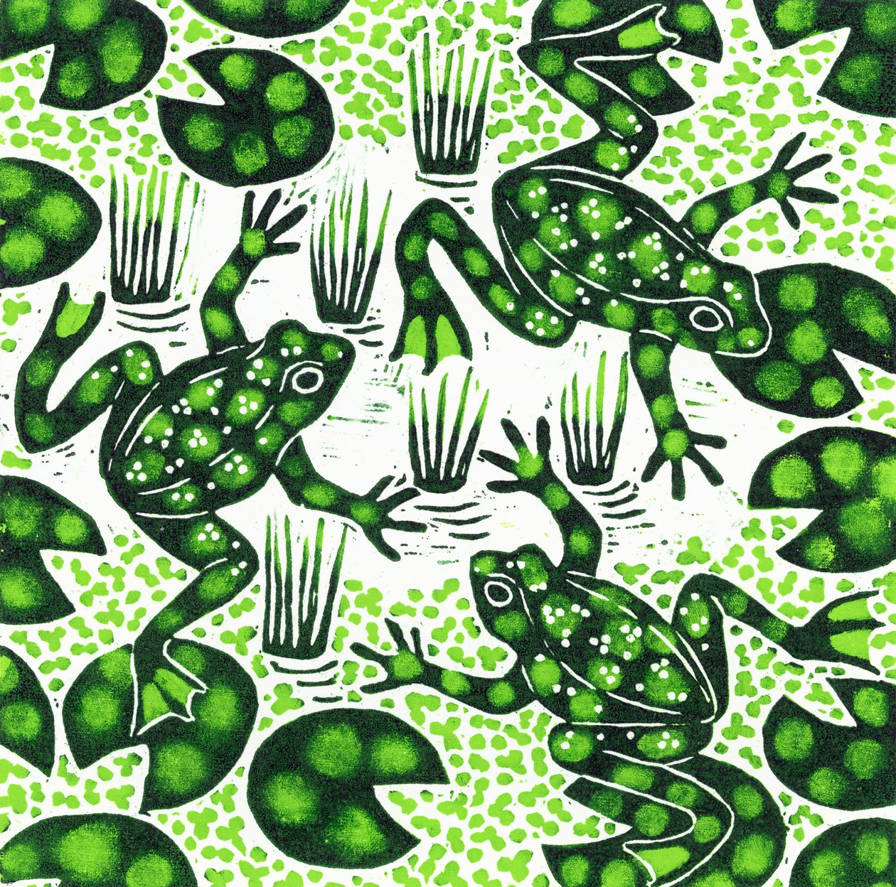 Grenouilles sautantes, 2003 - Nat Morley