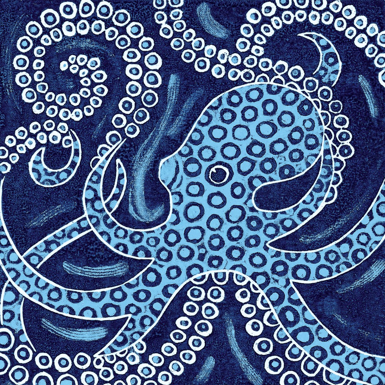 Poulpe à anneaux bleus - Nat Morley