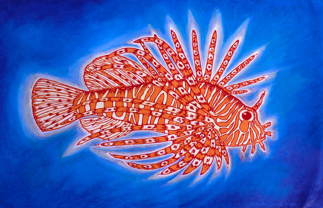 Poisson-lion - Nat Morley