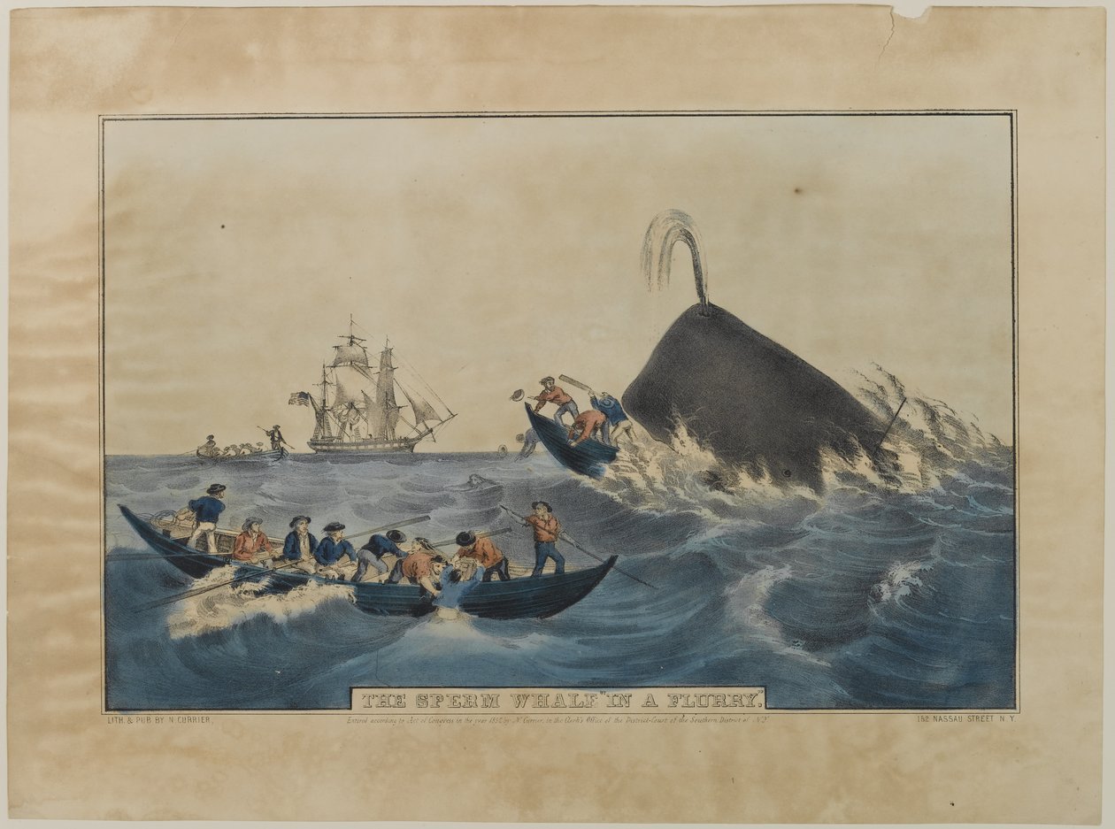 Le cachalot en furie, publié par N. Currier, 1852 - Nathaniel Currier