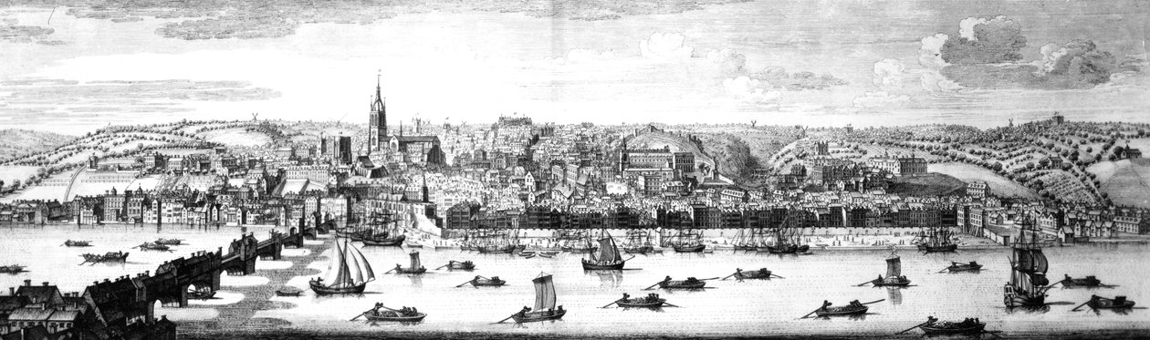 La vue sud-est de Newcastle Upon Tyne, 1745 - Nathaniel and Samuel Buck