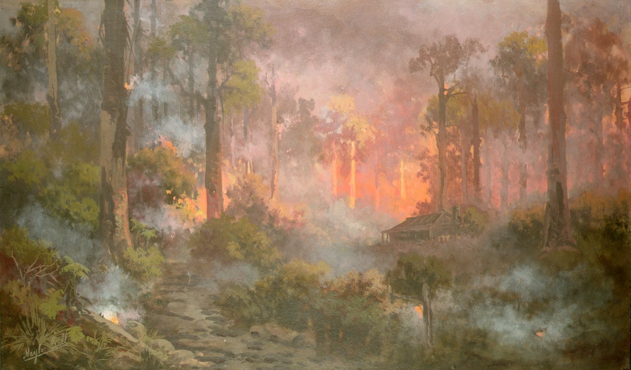 Feu de brousse - Naylor Gill