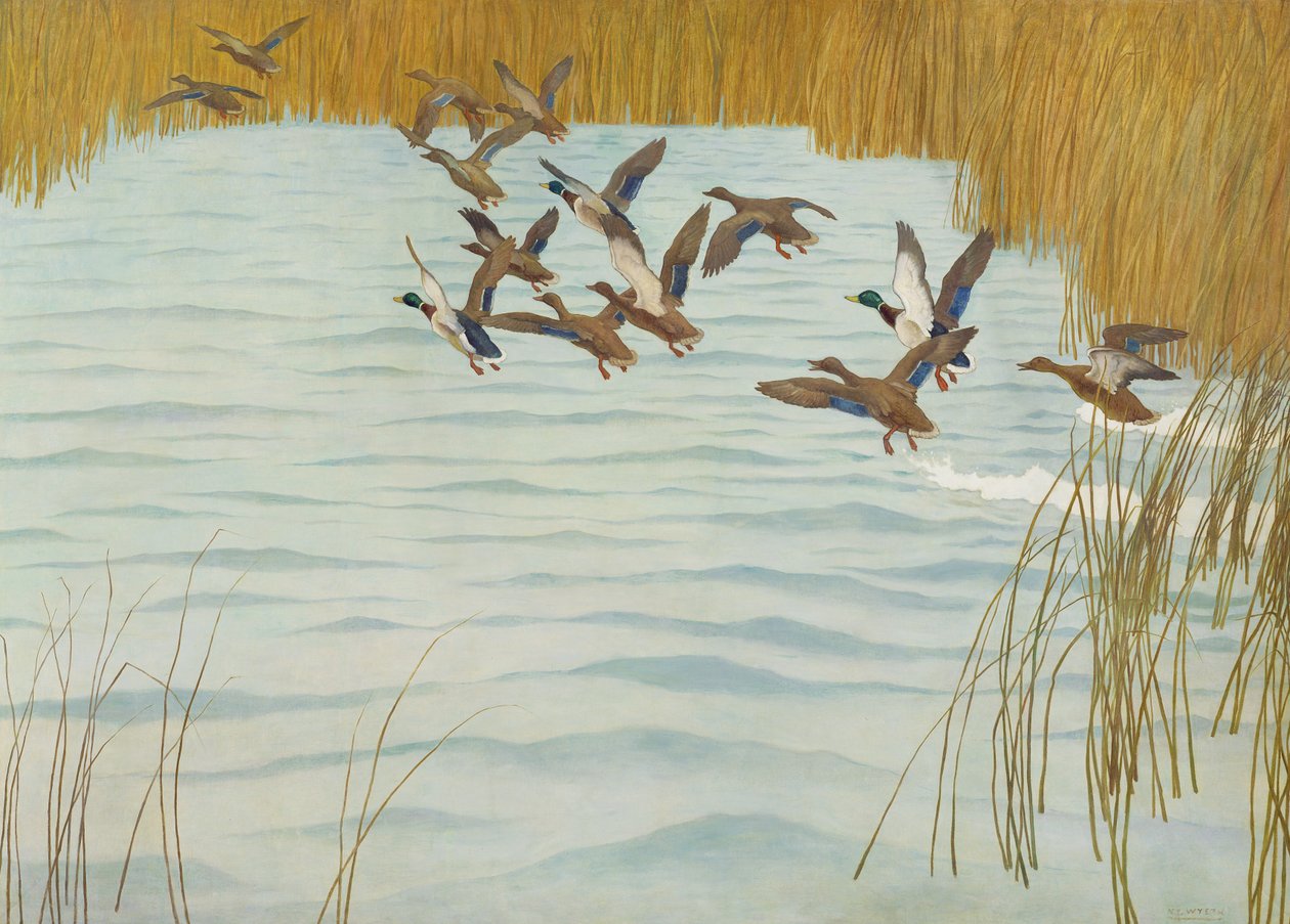 Canards colverts en automne, 1941 - Newell Convers Wyeth