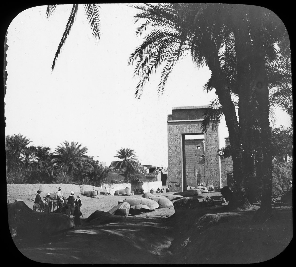Avenue des Sphinx, Karnak, Égypte, c1890 - Newton and Co