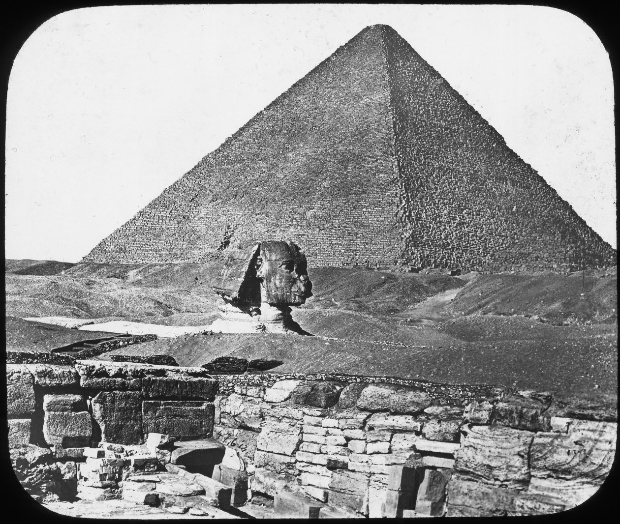Grand Sphinx de Gizeh, Égypte, vers 1890 - Newton and Co