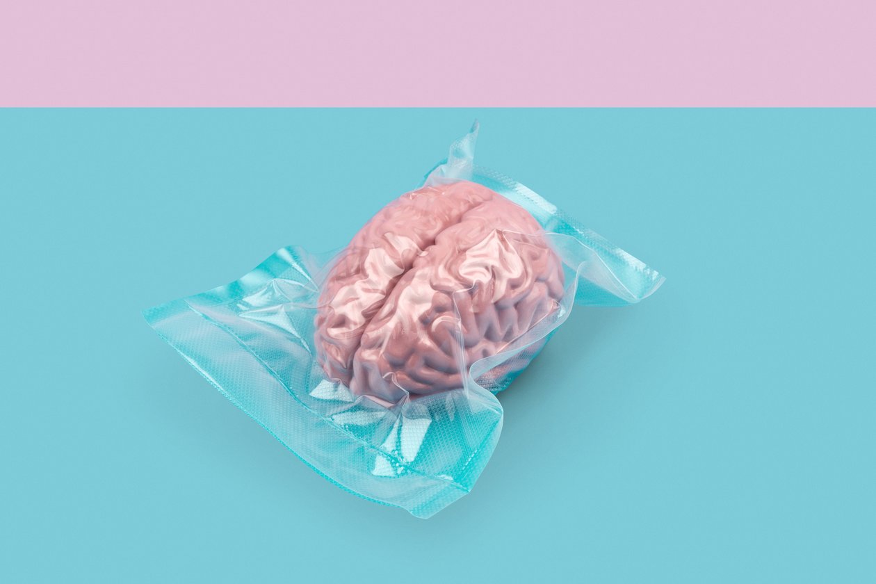 Cerveau, 2020 - Niccolò Fioriti