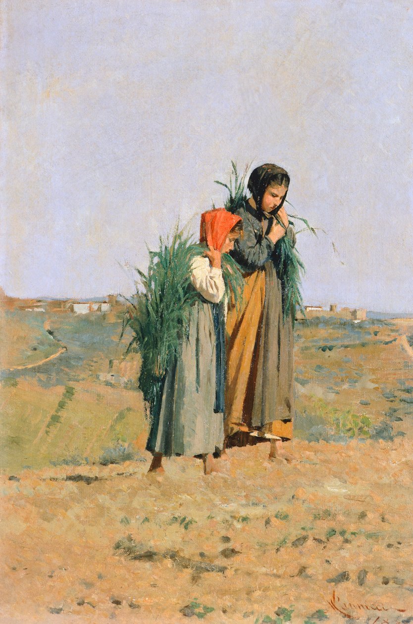 Erbaiole - Niccolo Cannicci