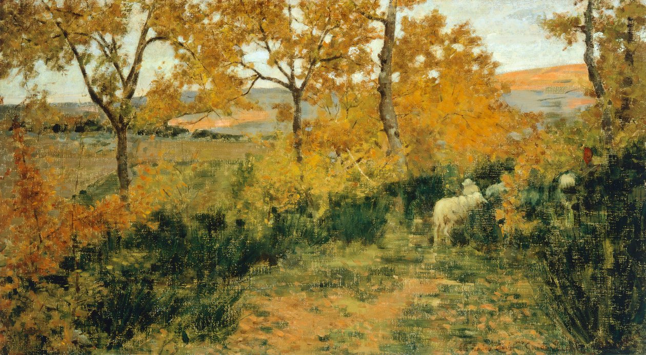 Forêt dorée à Montemiccioli - Niccolo Cannicci