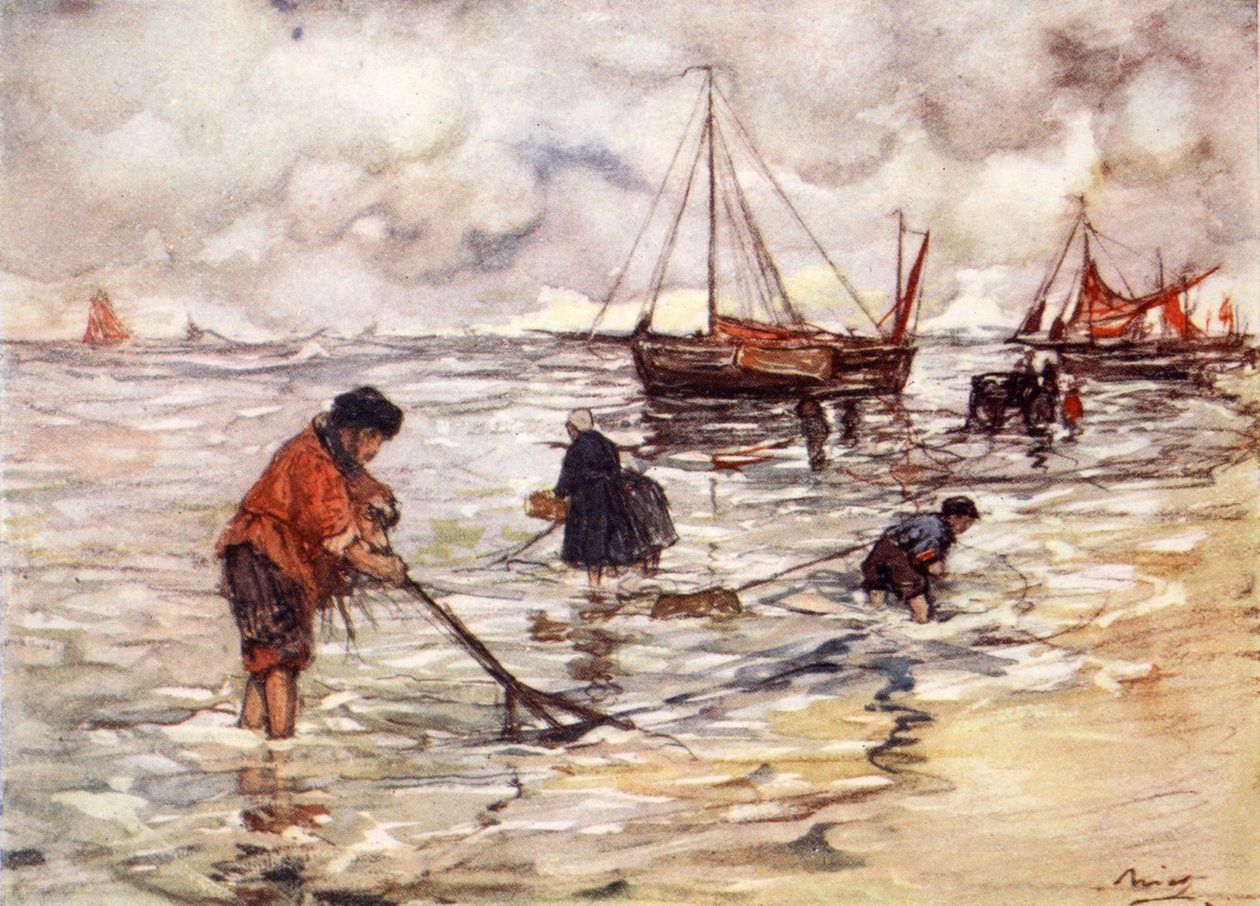 Pêche à la crevette - Nico Jungman