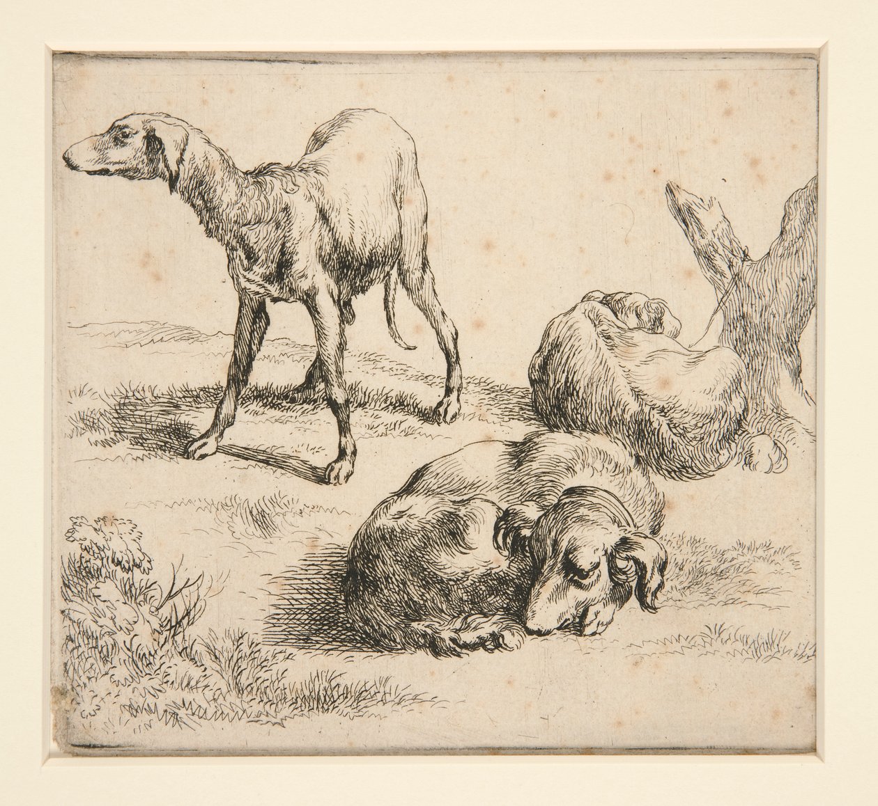 Trois chiens de chasse - Nicolaes Berchem
