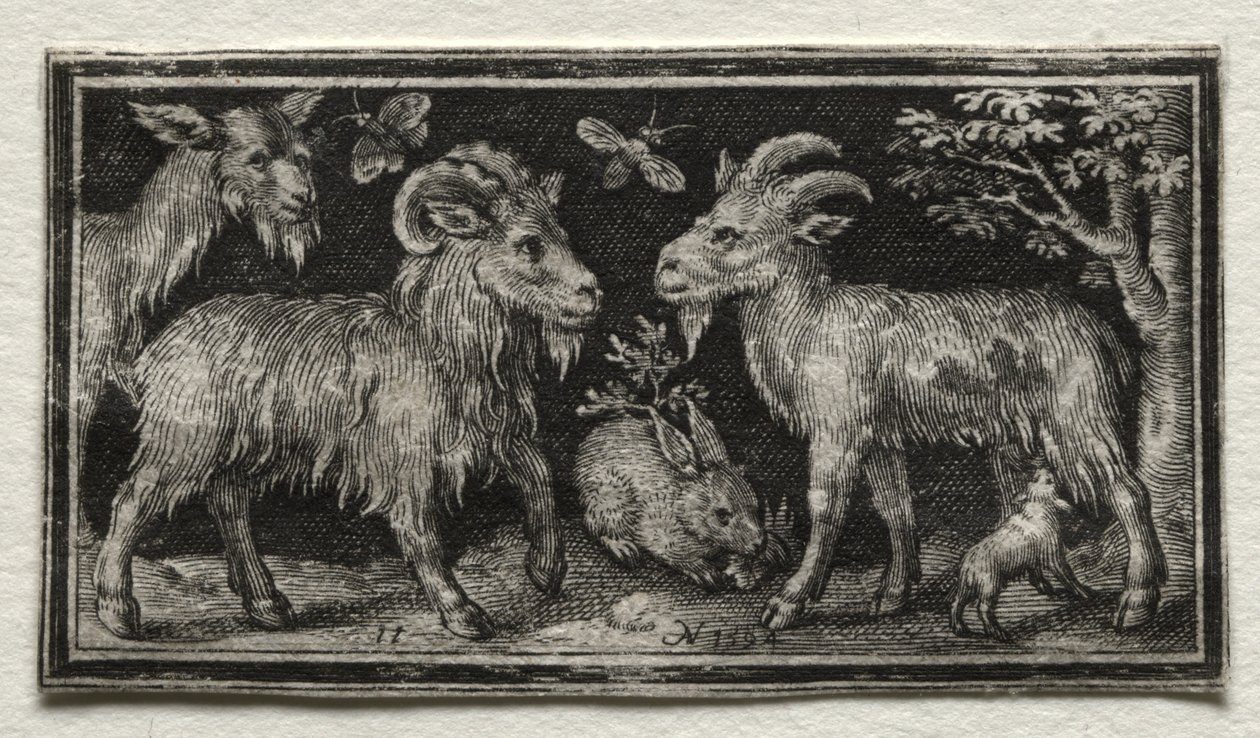 Chèvres et lièvre - Nicolaes de Bruyn