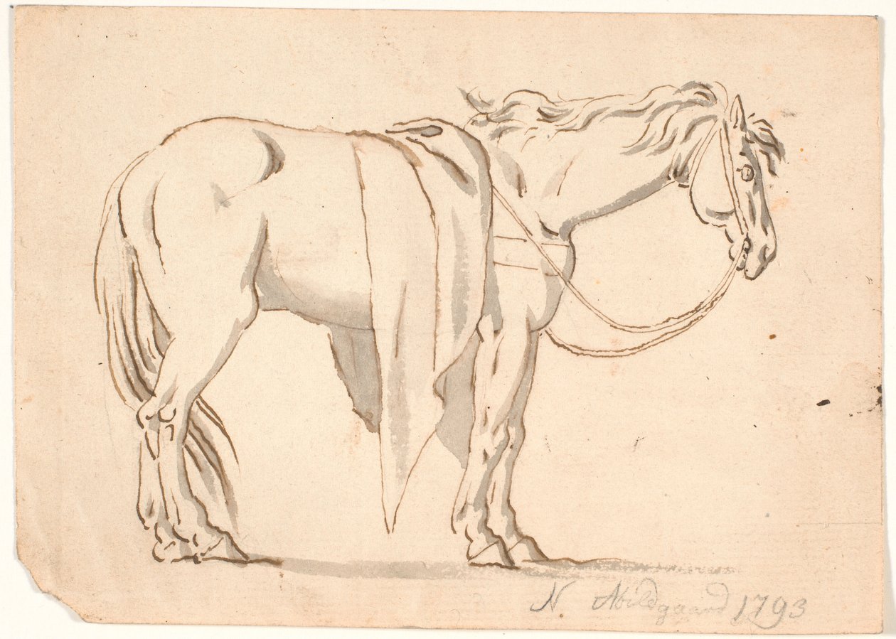 Un cheval avec une couverture - Nicolai Abildgaard