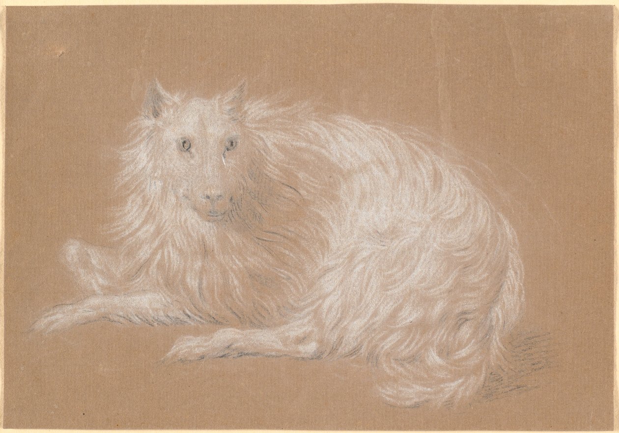 Un chien à poil long couché - Nicolai Abildgaard