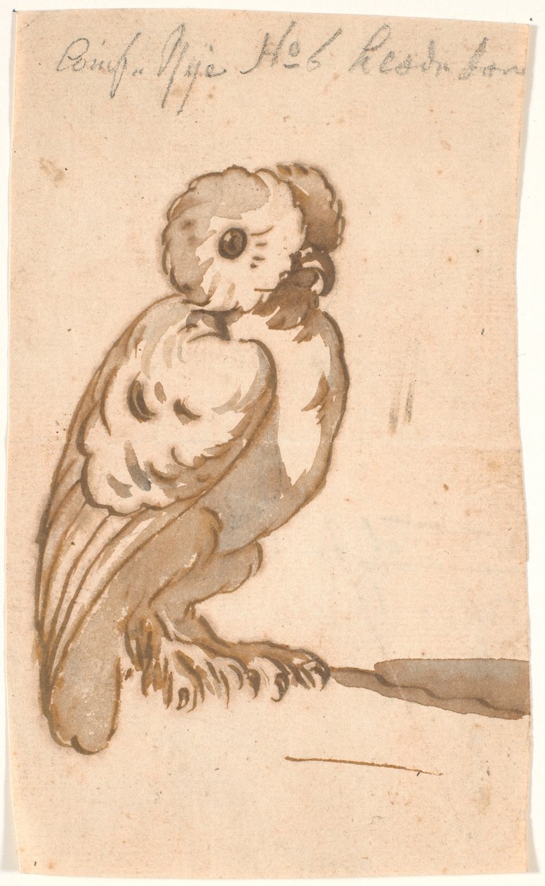 Un hibou - Nicolai Abildgaard