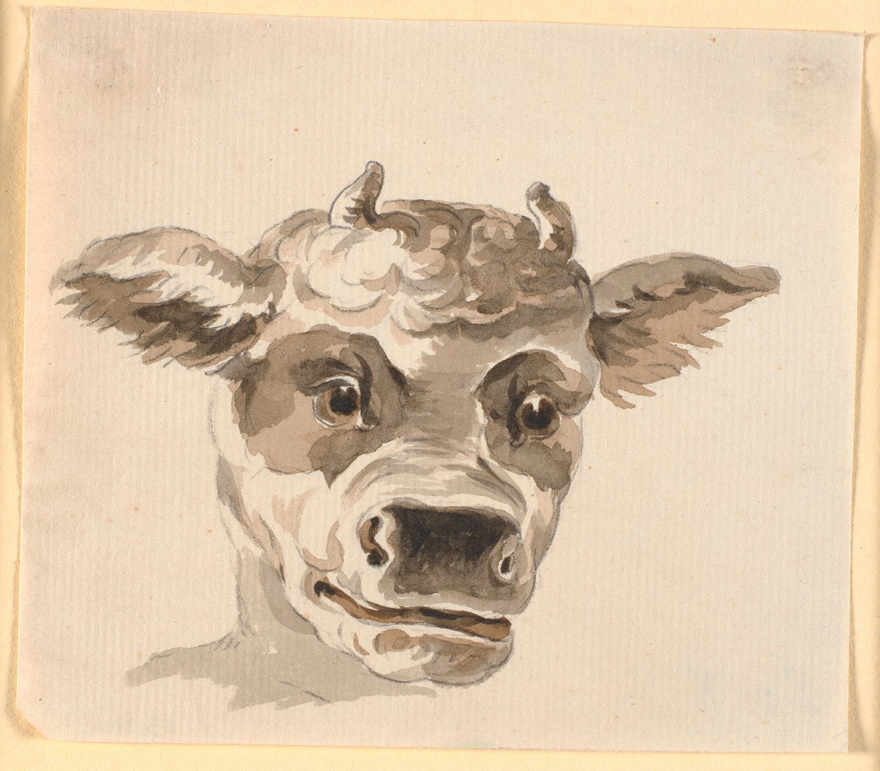 Tête de Minotaure - Nicolai Abildgaard