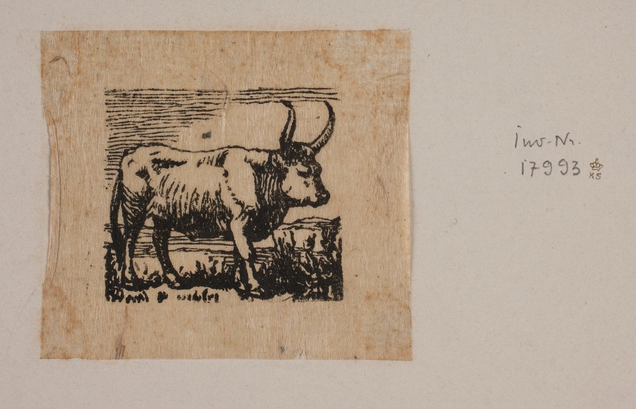 Un bœuf - Niels Skovgaard