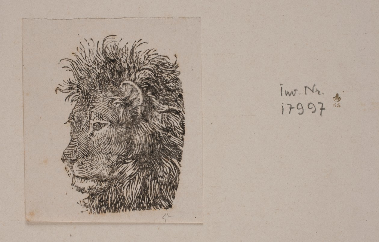 Une tête de lion - Niels Skovgaard