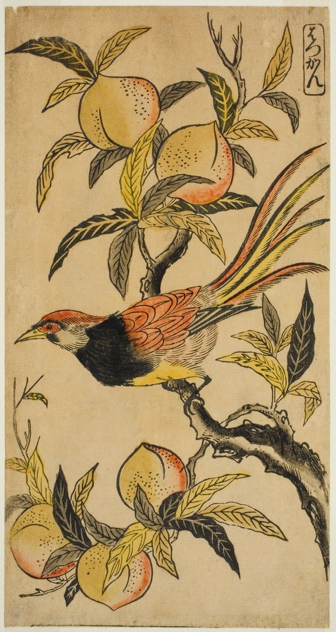 Faisan Argenté (Hakkan) - Nishimura Shigenaga