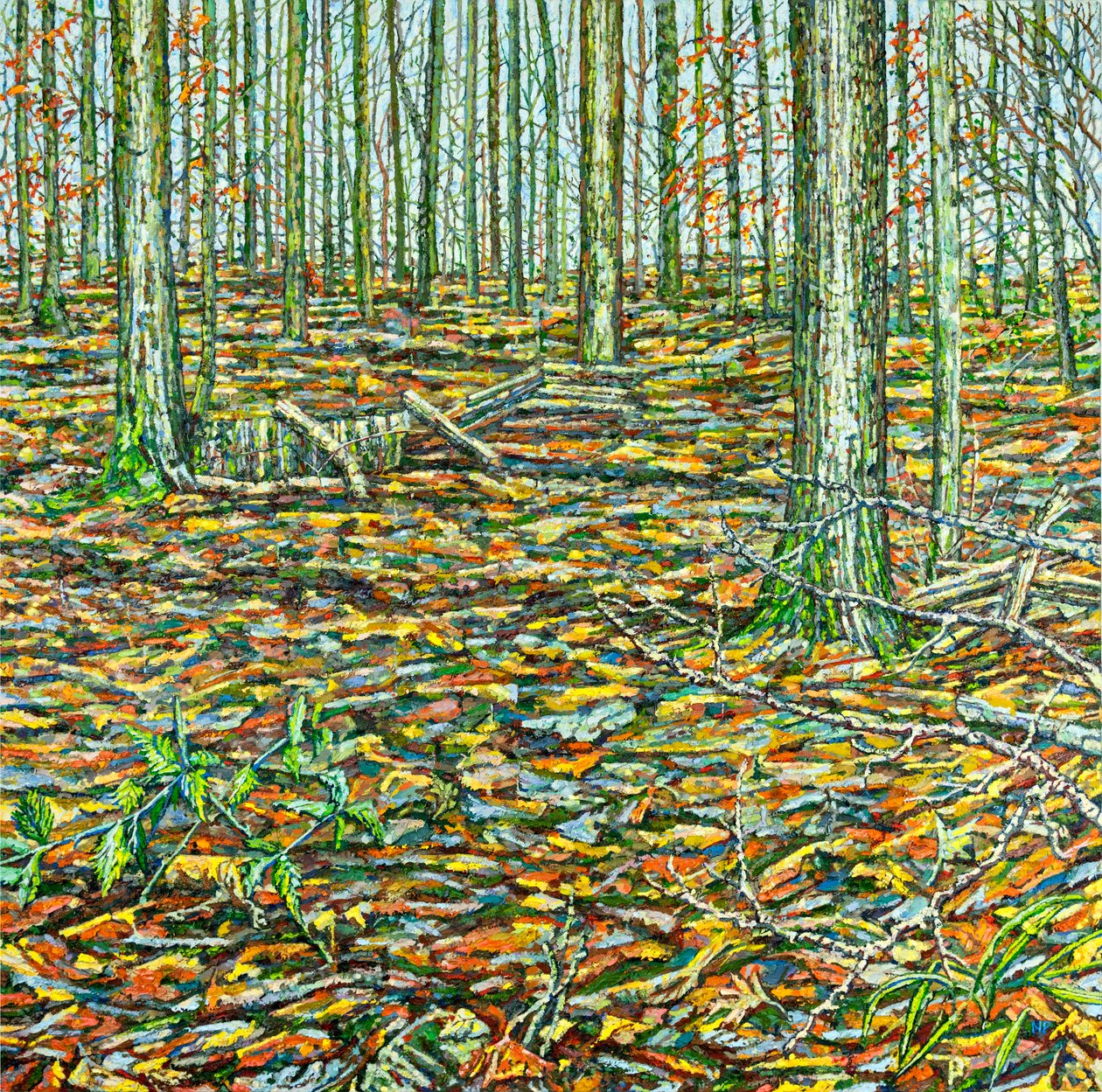Paysage d