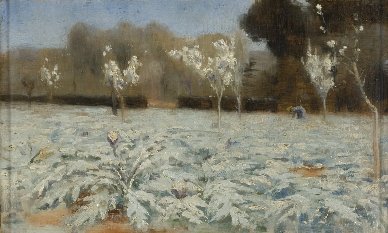 Artichauts, Hyères - Norman Garstin