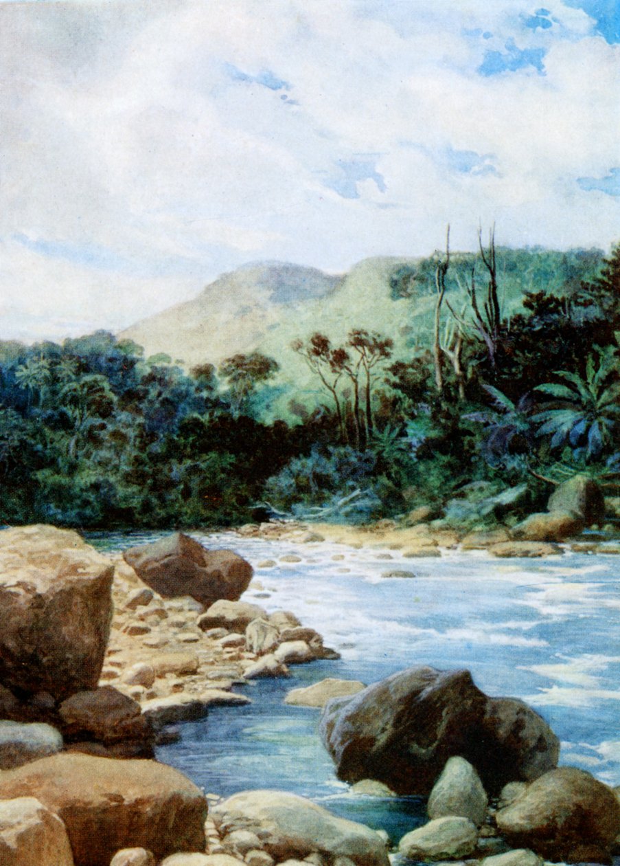 Paysage à Eromanga, Nouvelles-Hébrides, 1908 - Norman Hardy