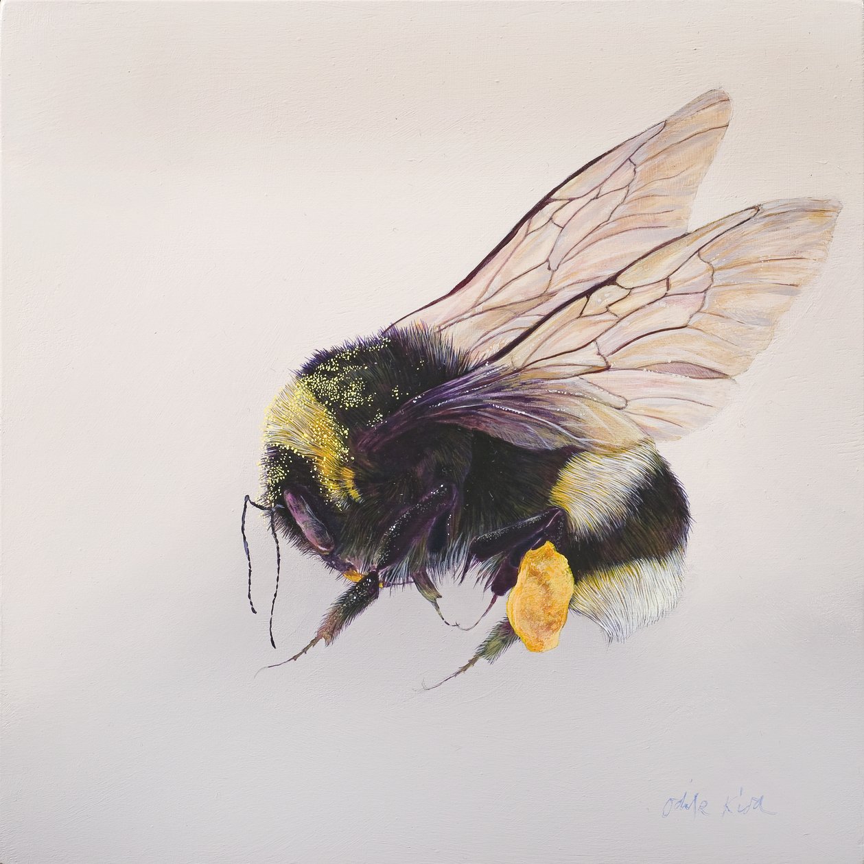 Pollen sac 2, 2011 (acrylique sur bois) - Odile Kidd