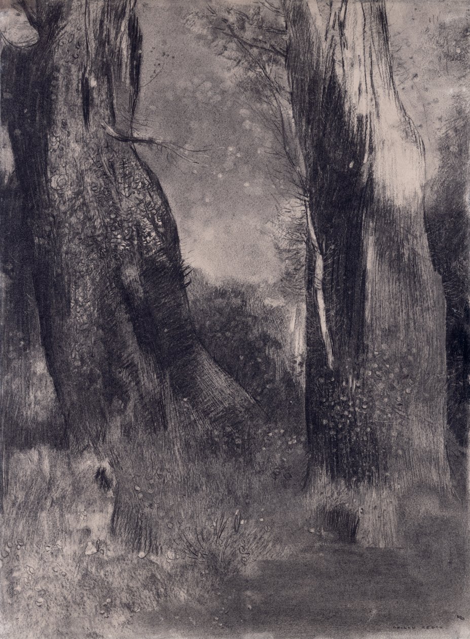 Les Arbres, années 1890 - Odilon Redon
