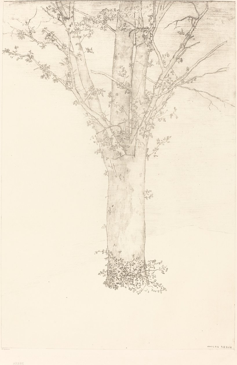 Arbre - Odilon Redon