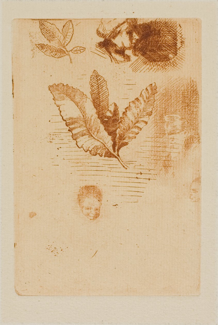 Esquisses - Odilon Redon