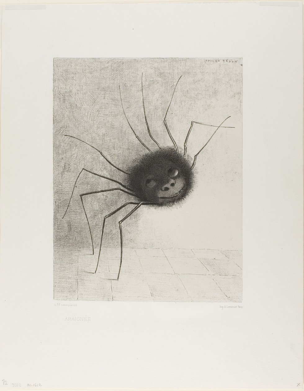 Araignée - Odilon Redon