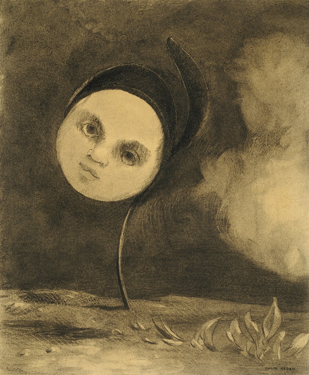 Fleur étrange - Odilon Redon