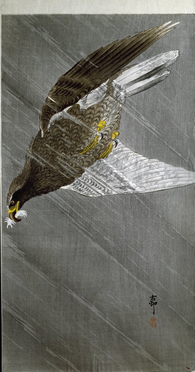 Un aigle plongeant pour sa proie, 1910 - Ohara Koson