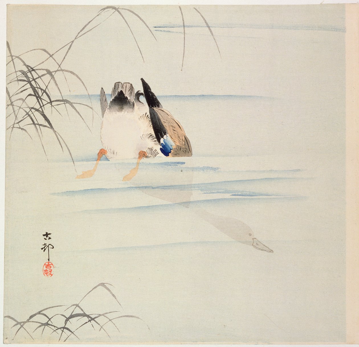 Canard plongeant, vers début 1900 - Ohara Koson