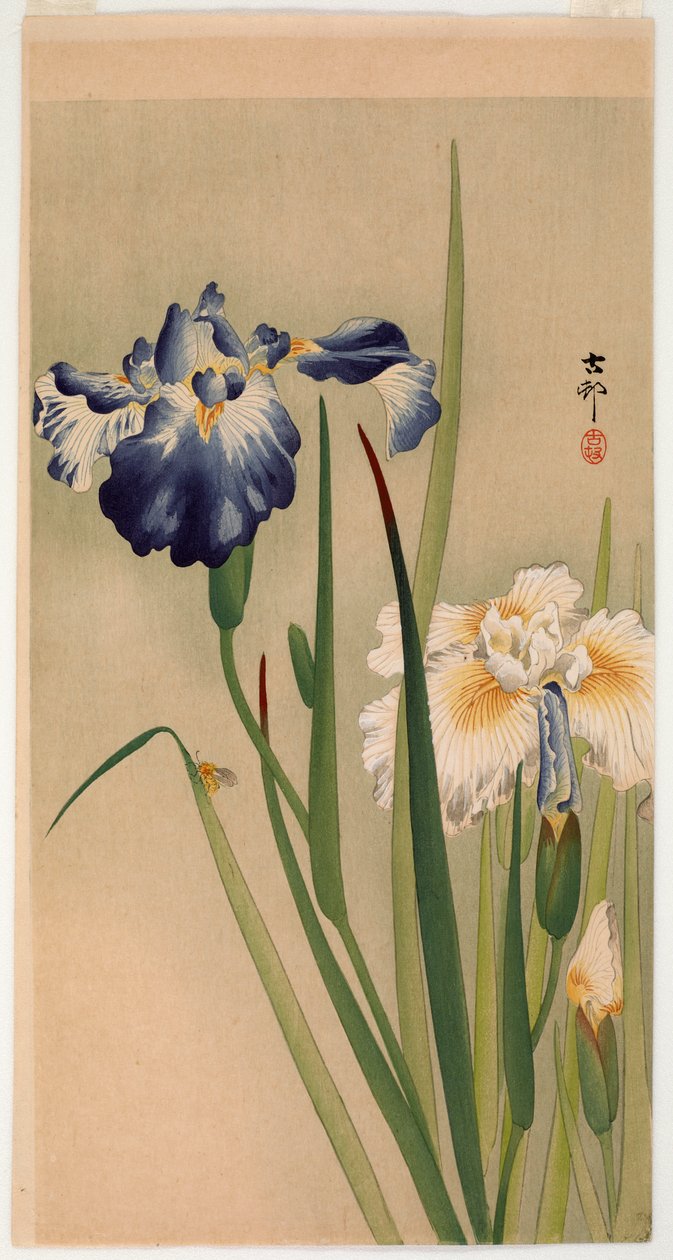 Petit insecte sur des iris en fleurs - Ohara Koson