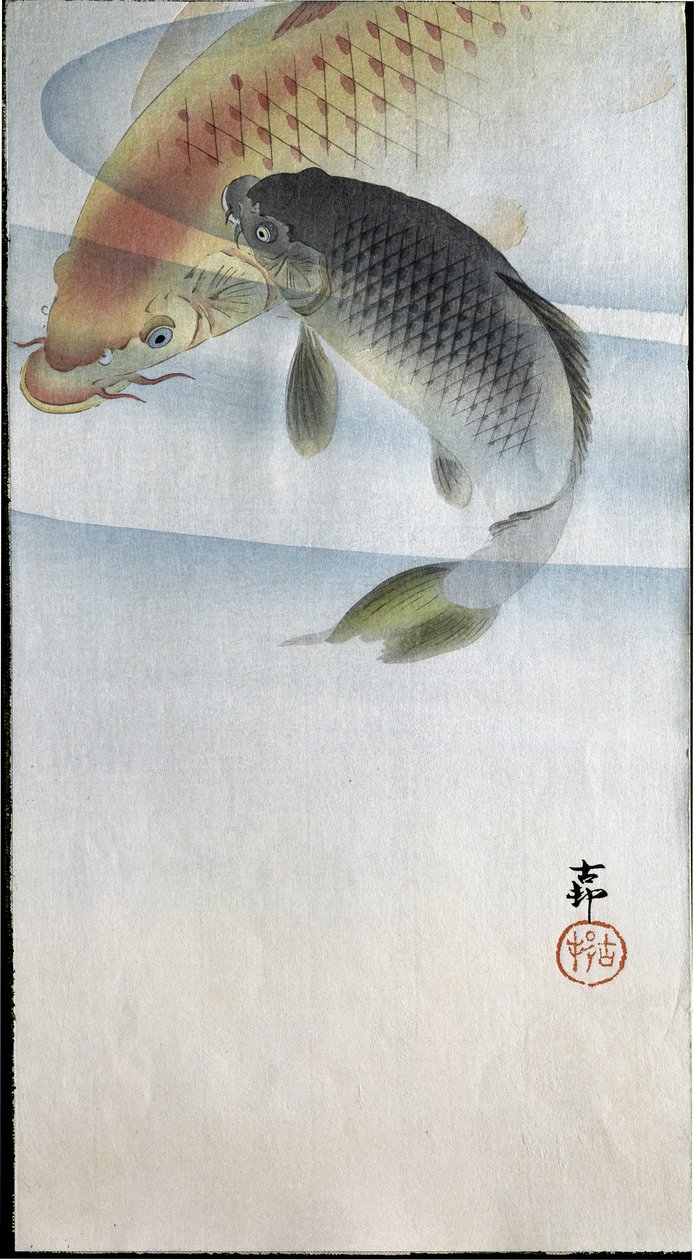 Deux carpes dans une rivière, 1907 - Ohara Koson