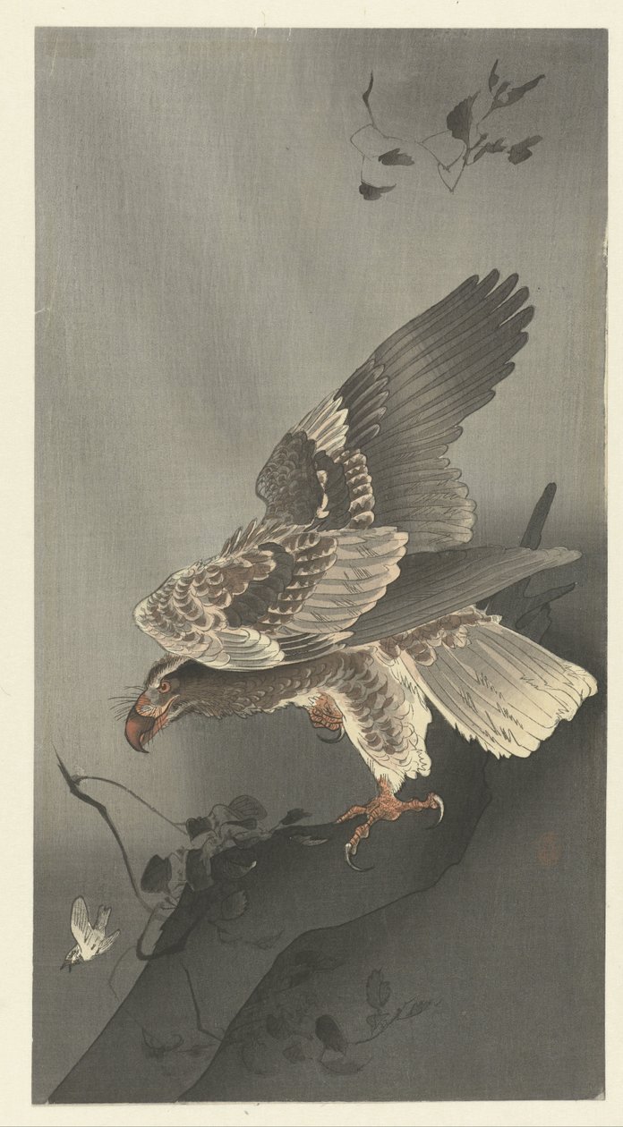 Aigle guettant une proie - Ohara Koson