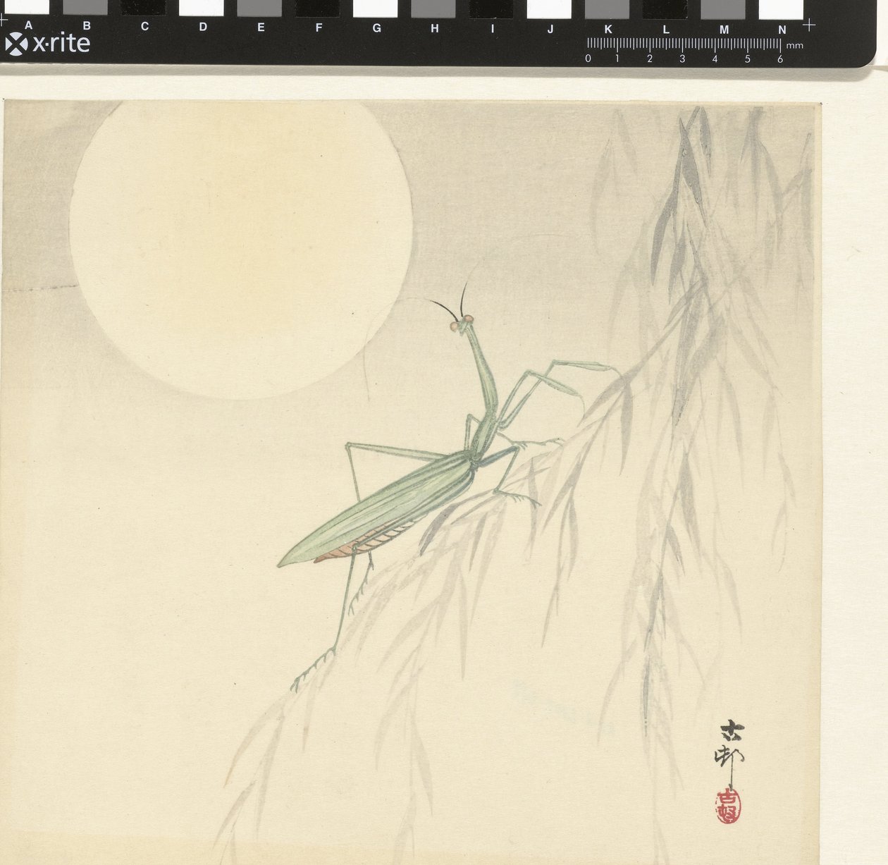 Mante religieuse - Ohara Koson