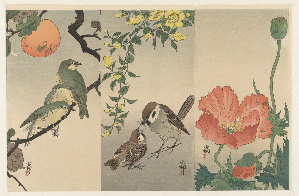 Oiseaux et plantes - Ohara Koson