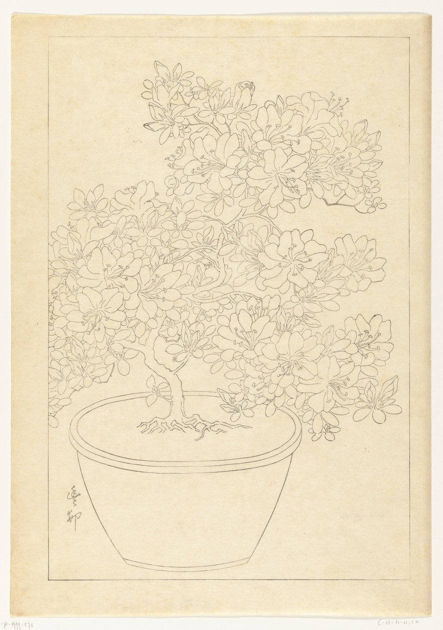 Azalée en fleurs dans un pot - Ohara Koson