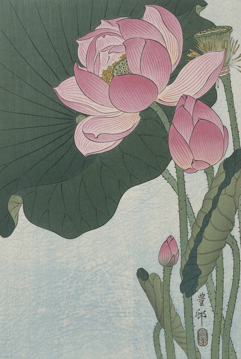 Fleurs de lotus en fleurs, 1920-30 - Ohara Koson