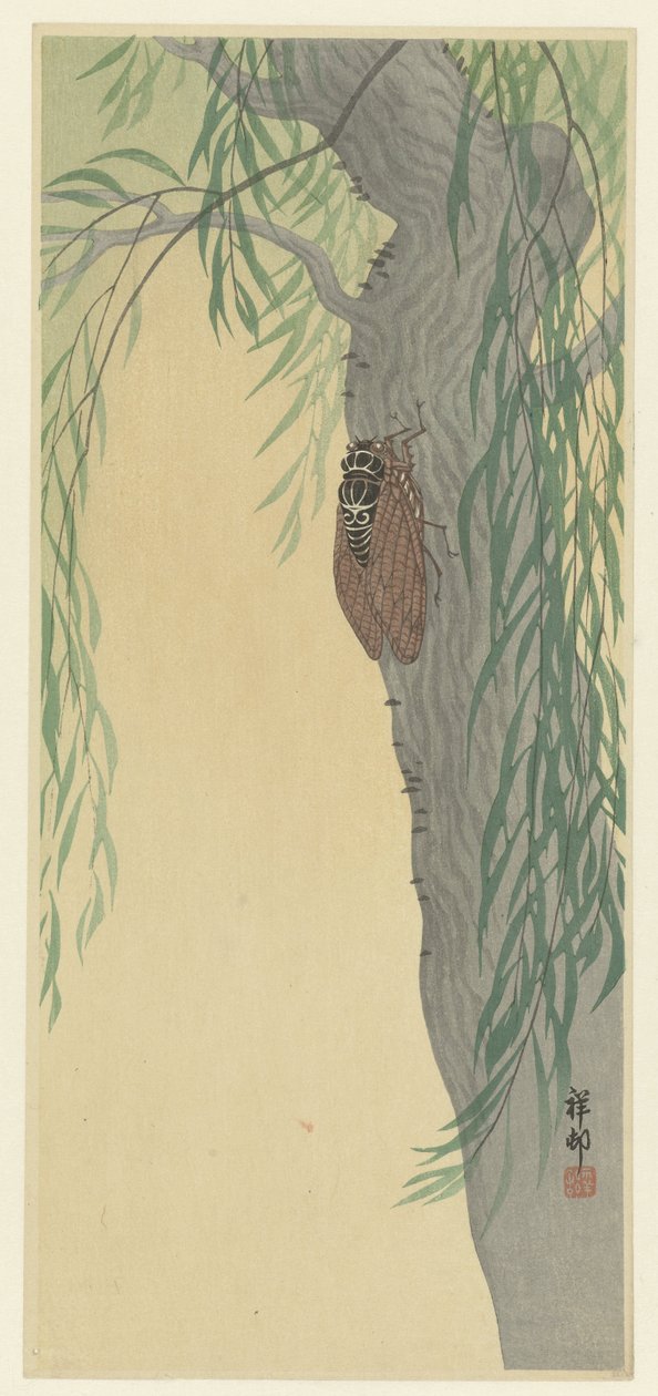 Cigale sur un arbre - Ohara Koson