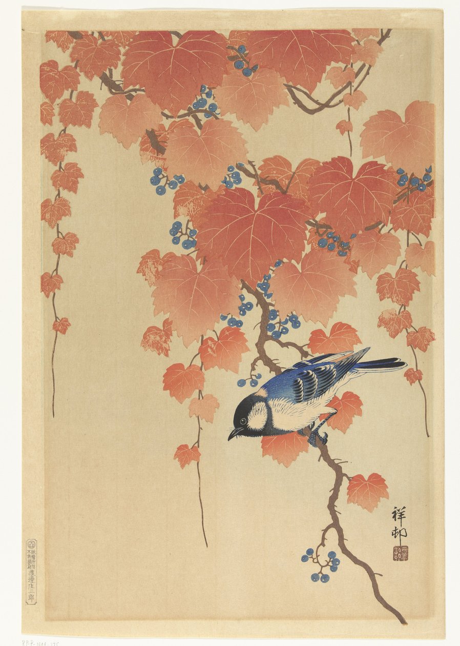 Mésange charbonnière sur une branche de paulownia - Ohara Koson