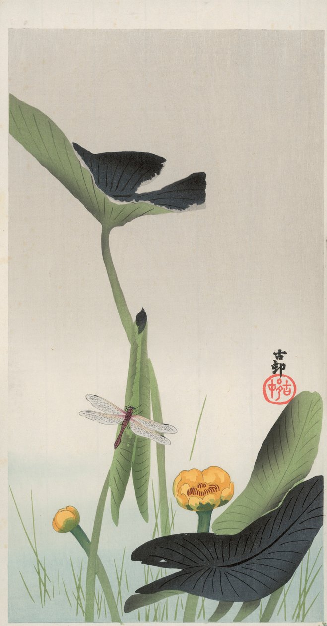 Libellule et Lotus - Ohara Koson