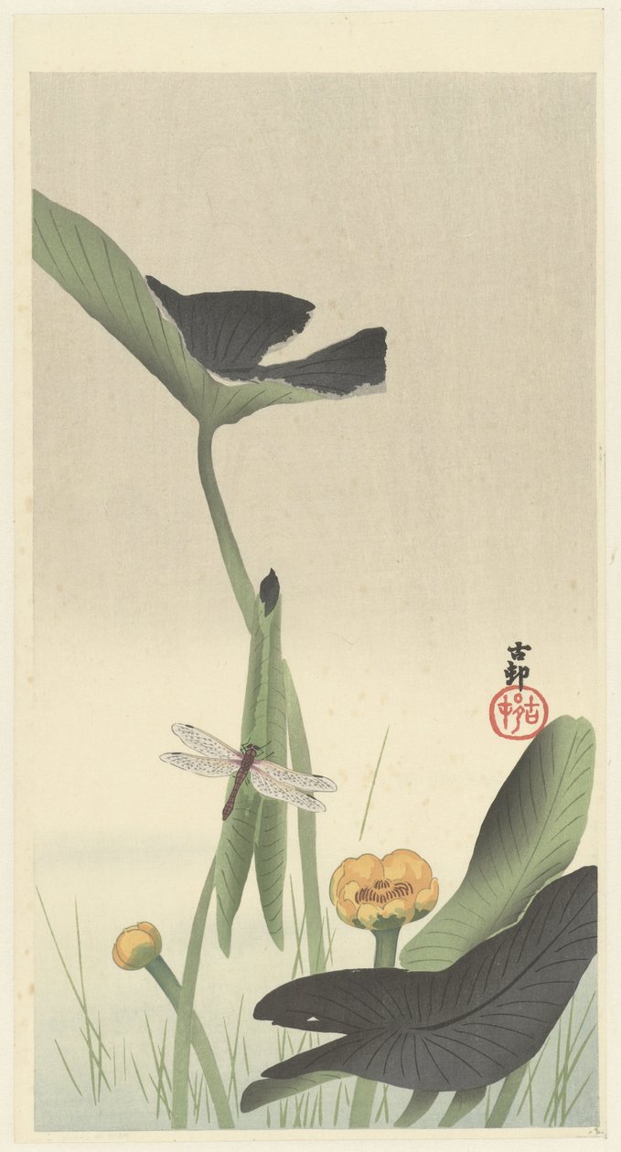 Libellule et fleur de lotus, vers 1900-1930 - Ohara Koson