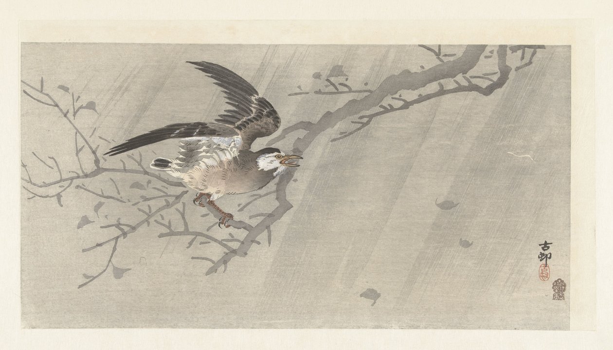 Étourneau gris dans la tempête - Ohara Koson