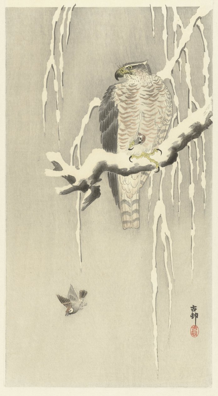 Faucon avec moineau capturé - Ohara Koson