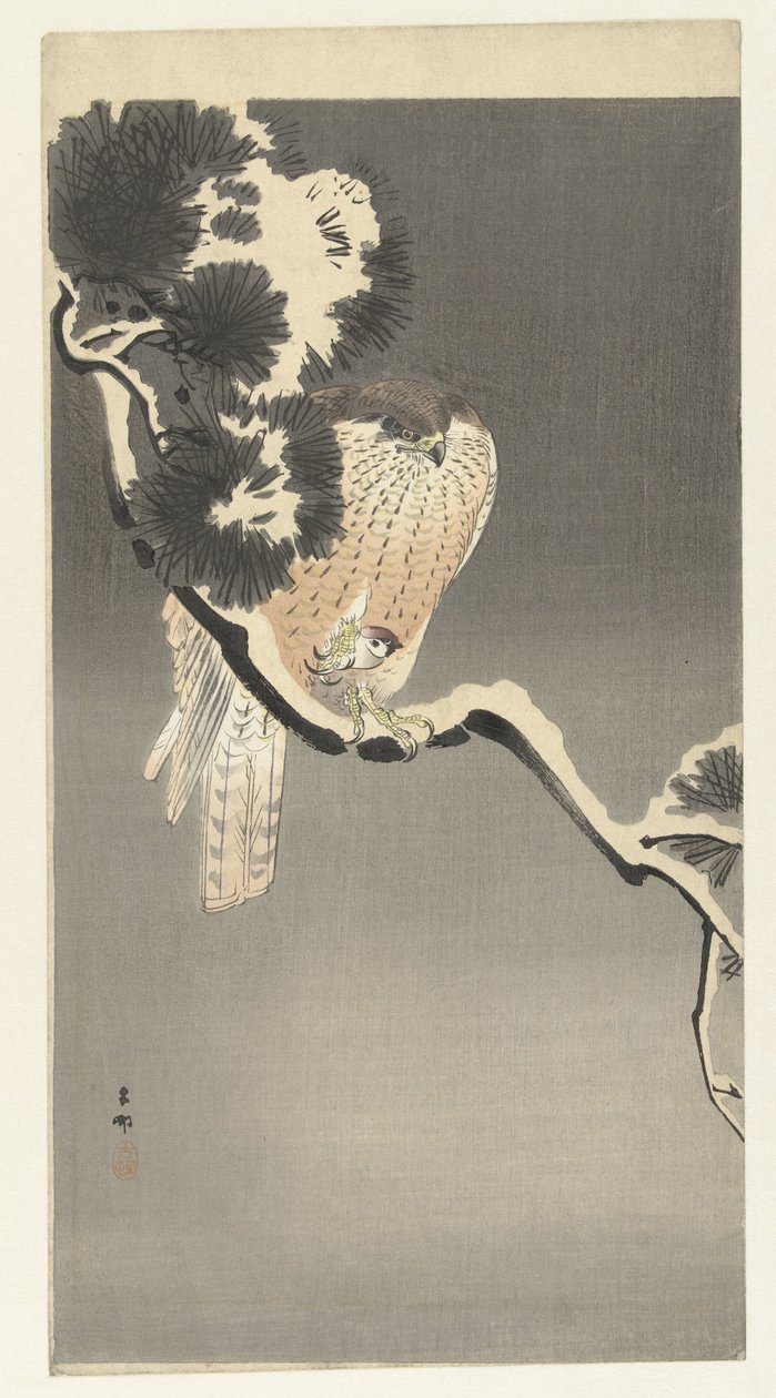 Faucon avec moineau - Ohara Koson