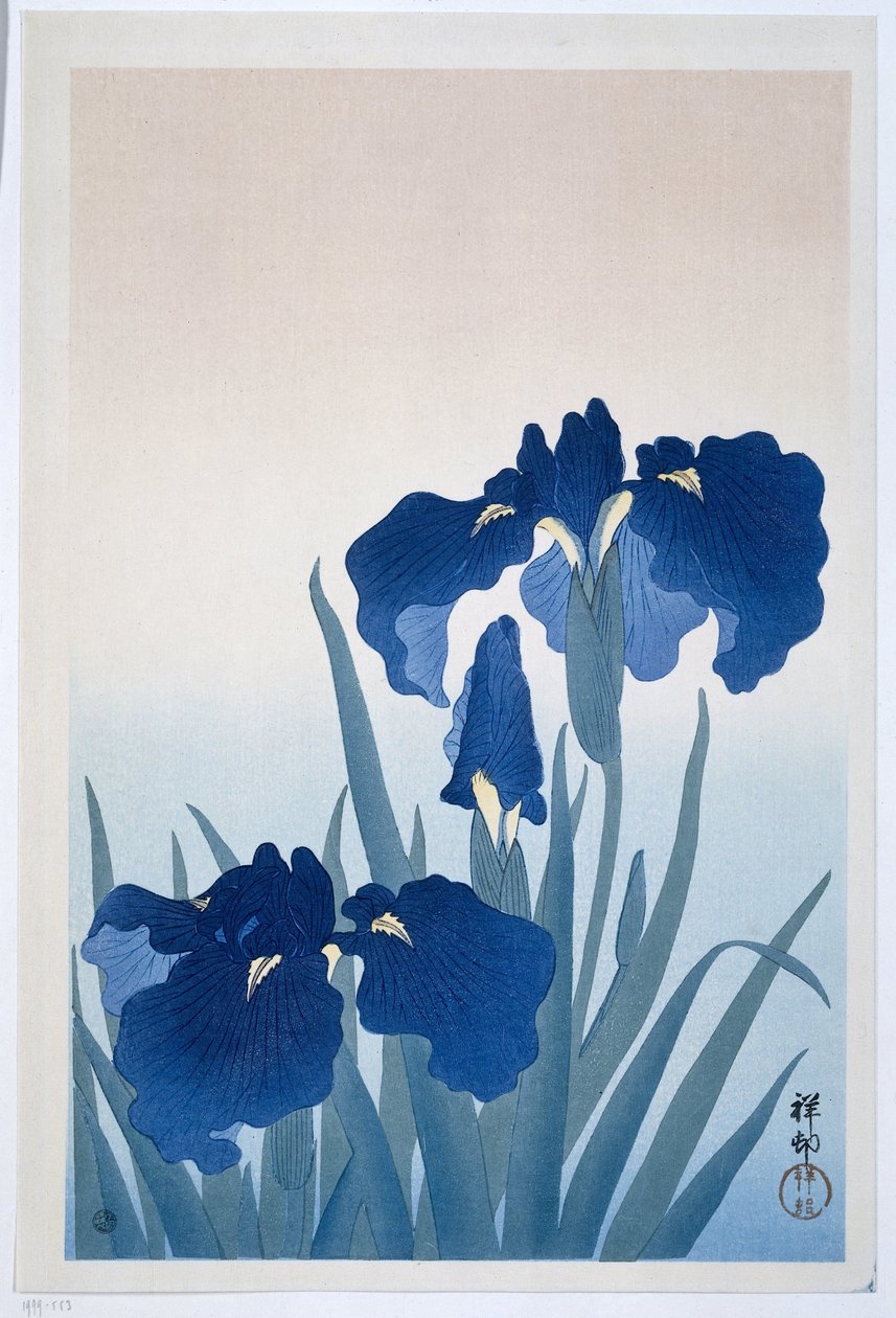 Iris - Ohara Koson