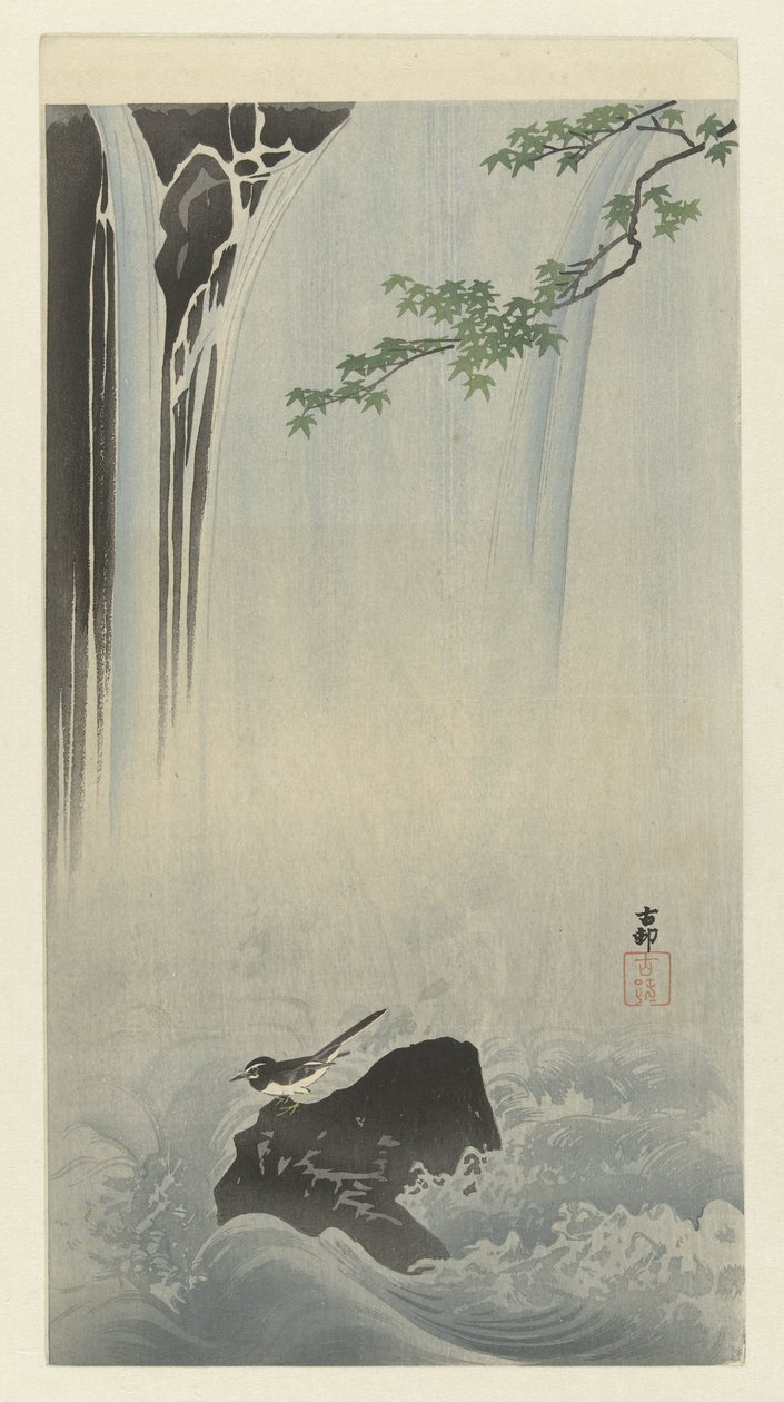 Bergeronnette japonaise près d